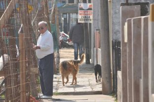 Los vecinos, cansados de la demora El desagüe Espora en su limbo: sólo 16 empleados y "muy pocos avances" - Esperando que se termine. Un vecino mira tras las rejas la zona de obra. El registro gráfico es de septiembre pasado. El desagüe Espora en su limbo: sólo 16 empleados y "muy pocos avances" - Esperando que se termine. Un vecino mira tras las rejas la zona de obra. El registro gráfico es de septiembre pasado.