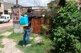Sin antecedente de viaje Confirman un caso de dengue en un barrio del sur de la ciudad de Santa Fe - Personal del municipio realiza trabajos en el lugar que se detectó el caso Confirman un caso de dengue en un barrio del sur de la ciudad de Santa Fe - Personal del municipio realiza trabajos en el lugar que se detectó el caso
