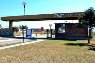 Apuntan al gobierno nacional En el Conicet Santa Fe afianzan el trueque como mecanismo para afrontar la escasez de fondos - En el Conicet Santa Fe afianzan el trueque como mecanismo para afrontar la escasez de fondos -