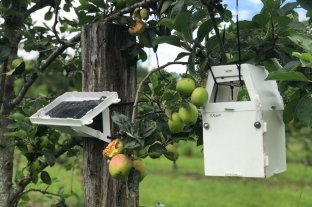 Incubada en el Cites de Sunchales Firma tecnológica lista para "volar" al mercado - Los sensores: alimentación solar y detección temprana de plagas. El sistema avisa automáticamente al usuario. Firma tecnológica lista para "volar" al mercado - Los sensores: alimentación solar y detección temprana de plagas. El sistema avisa automáticamente al usuario.