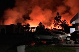 Entre Santa Fe, Santo Tomé y Rincón Desde enero, hubo 342 incendios de pastizales - Desde varios sectores del barrio privado Aires del Llano, se pudo apreciar el incendio. Los vecinos vivieron varias horas de incertidumbre porque el viento era muy fuerte y fue difícil controlar las llamas. Desde enero, hubo 342 incendios de pastizales - Desde varios sectores del barrio privado Aires del Llano, se pudo apreciar el incendio. Los vecinos vivieron varias horas de incertidumbre porque el viento era muy fuerte y fue difícil controlar las llamas.