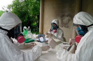 Avance Hantavirus: científicos santafesinos hallan una nueva forma de circulación del virus - Delta. Las muestras de campo fueron recolectadas en toda la zona del delta del río Paraná, cerca de Campana, Buenos Aires. Hantavirus: científicos santafesinos hallan una nueva forma de circulación del virus - Delta. Las muestras de campo fueron recolectadas en toda la zona del delta del río Paraná, cerca de Campana, Buenos Aires.