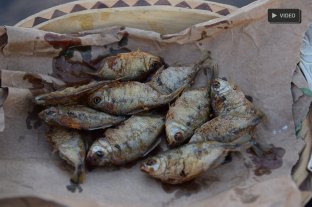 La gastronomía local, presente Comer mojarras fritas, rememorar el pasado y disfrutar de la Setúbal - Comer mojarras fritas, rememorar el pasado y disfrutar de la Setúbal -