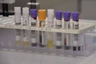 Operativo simultáneo Sospechan que laboratorio adulteró exámenes de ADN - Sospechan que laboratorio adulteró exámenes de ADN -