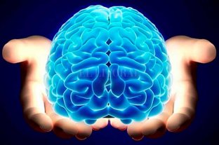 En el marco del día mundial de la enfermedad La reserva cerebral, la clave para enfrentar el Alzheimer - El ejercicio del cuello hacia arriba es tan básico y necesario como el ejercicio del cuello hacia abajo. La reserva cerebral, la clave para enfrentar el Alzheimer - El ejercicio del cuello hacia arriba es tan básico y necesario como el ejercicio del cuello hacia abajo.