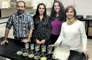 Un trabajo de investigadores del Instituto de Química de Rosario Salud vaginal: los avances logrados con los caparazones de crustáceos - EL GRUPO DE TRABAJO que se abocó a la investigación y las expectativas que tienen sobre los avances del proyecto. Salud vaginal: los avances logrados con los caparazones de crustáceos - EL GRUPO DE TRABAJO que se abocó a la investigación y las expectativas que tienen sobre los avances del proyecto.