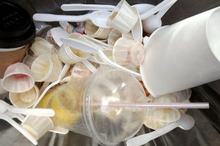 La diputada nacional Brenda Austin visitó la ciudad La vida moderna entre sorbetes y vasitos: buscan prohibir los plásticos "use y tire" - Un uso y chau. Se estima que tienen un promedio de uso de 20 minutos y que tardan entre 150 y 500 años en degradarse. La vida moderna entre sorbetes y vasitos: buscan prohibir los plásticos "use y tire" - Un uso y chau. Se estima que tienen un promedio de uso de 20 minutos y que tardan entre 150 y 500 años en degradarse.