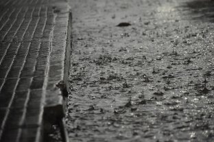 Alerta por tormentas fuertes para Santa Fe - 