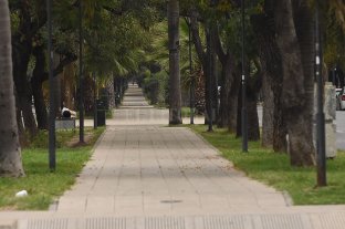 Reporte nocturno de la pandemia en Santa Fe Covid-19: 12 nuevos casos positivos en la provincia y suman 55 en total - Covid-19: 12 nuevos casos positivos en la provincia y suman 55 en total -