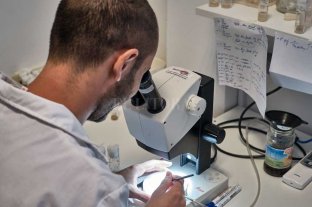Dos científicos locales explican el por qué El "talón de Aquiles" del Covid-19 son las enzimas - Lo importante sería lograr un antiviral lo suficientemente específico para tratar este nuevo virus, porque va a seguir entre nosotros", asegura Iglesias. El "talón de Aquiles" del Covid-19 son las enzimas - Lo importante sería lograr un antiviral lo suficientemente específico para tratar este nuevo virus, porque va a seguir entre nosotros", asegura Iglesias.