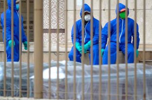 Ecuador admite m�s de 300 posibles fallecidos por coronavirus  -  - 