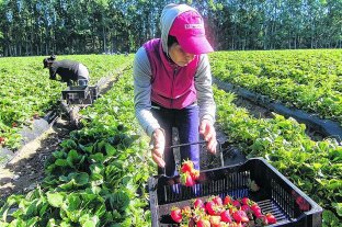 Senadores de la UCR solicitan financiamientopara pymes y trabajadores independientes