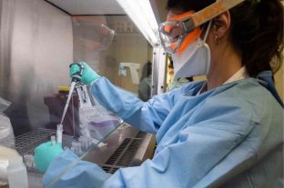 Financian con 37 millones de pesos ocho proyectos de investigación para frenar el coronavirus