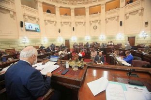 Vicentin, eje de extenso debate y de diferencias en Diputados 
