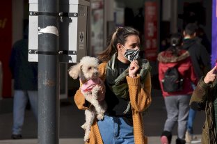 Parte epidemiológico Santa Fe: 5 nuevos casos, ninguno de la ciudad y un 86% de recuperación - La sociedad no debe relajarse en el contexto de pandemia, insisten las autoridades sanitarias. Santa Fe: 5 nuevos casos, ninguno de la ciudad y un 86% de recuperación - La sociedad no debe relajarse en el contexto de pandemia, insisten las autoridades sanitarias.