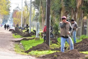 Escándalo en Mar del Plata Casi 300 personas se organizaron para robar un cableado subterráneo - Casi 300 personas se organizaron para robar un cableado subterráneo -