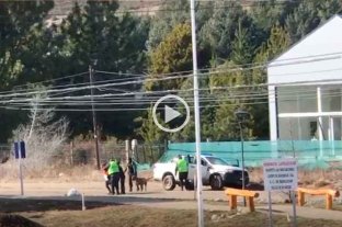Bariloche: una mujer fue detenida por pasear al perro y violar la cuarentena  -  - 
