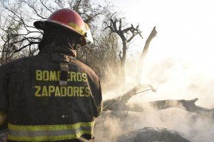 Quemas en el Delta: "Es inexplicable el nivel de irresponsabilidad" dijo la ministra Gonnet