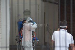 Ante el aumento de casos de coronavirus en la provincia de Santa Fe Martorano: "La situación es compleja, contamos con camas pero se van restringiendo" - Martorano: "La situación es compleja, contamos con camas pero se van restringiendo" - -