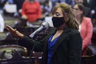 Alcira Figueroa juró como diputada nacional en reemplazo de Juan Amerí