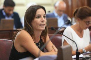 Se aprob en Diputados la Ley Micaela para todos los clubes de la provincia
