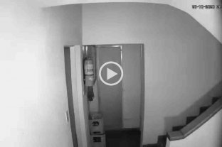 Vecinos temen que se desate una tragedia Madre e hijo mantienen violento conflicto en edificio residencial - Las cámaras de seguridad del consorcio muestran a las claras las irrefrenables reacciones de un joven de 32 años que patea puertas a toda hora. Madre e hijo mantienen violento conflicto en edificio residencial - Las cámaras de seguridad del consorcio muestran a las claras las irrefrenables reacciones de un joven de 32 años que patea puertas a toda hora.