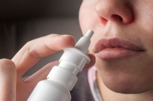 "Musgo irlandés" Coronavirus: ANMAT aprobó un spray nasal desarrollarado por la UBA - Coronavirus: ANMAT aprobó un spray nasal desarrollarado por la UBA -