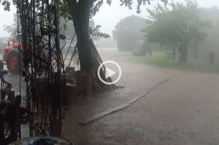 Clima Ni el caribe gusta tanto: la lluvia es la mejor postal en el campo - Ni el caribe gusta tanto: la lluvia es la mejor postal en el campo -