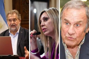 As� votaron los senadores santafesinos al proyecto de legalizaci�n del aborto  - 