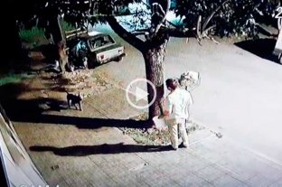 De denunciante a imputado Polémico: un vecino disparó al piso ante el ataque de un pitbull - Polémico: un vecino disparó al piso ante el ataque de un pitbull -