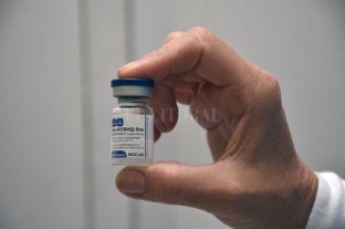 Coronavirus en Argentina Anmat recomienda la aplicación de la vacuna Sputnik V para mayores de 60 años - Anmat recomienda la aplicación de la vacuna Sputnik V para mayores de 60 años -