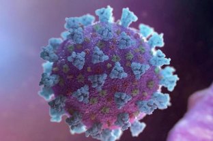 Coronavirus: prevalece la variante Delta, pero los científicos ya observan a Lambda y Mu
