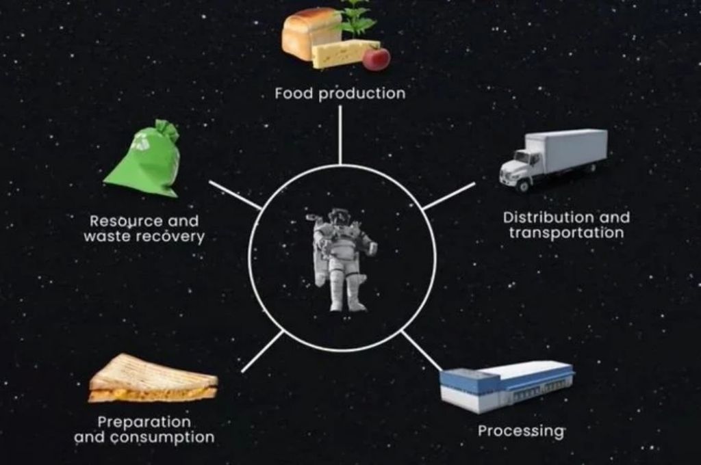 La Nasa Premiará A La Mejor Idea Para Cultivar Alimentos Frescos En El Espacio El Litoral