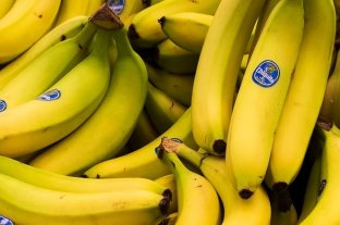 El mundo, sin bananas "La pandemia del banano" avanza y América Latina se suma a la alerta mundial - "La pandemia del banano" avanza y América Latina se suma a la alerta mundial -