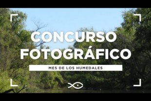 El Acuario del Río Paraná convoca al concurso fotográfico: "Retratos del Humedal"