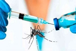 Se prevé un incremento de los casos de dengue en Argentina para los próximos meses
