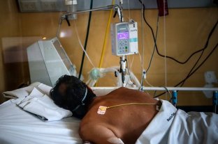 Mucormicosis Falleció el primer paciente por hongo negro en Argentina - Falleció el primer paciente por hongo negro en Argentina -