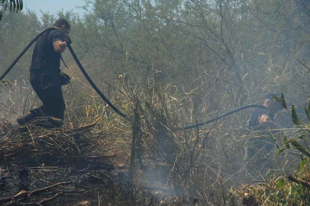 Incendio en El Pozo: uno de los acusados aceptó 4 años de prisión