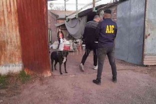 En Rafaela Cayó otra banda de ladrones de cobre - Cayó otra banda de ladrones de cobre -