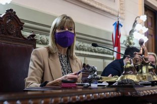 En el Senado de Santa Fe Rodenas pidió licencia por la campaña - Rodenas pidió licencia por la campaña -