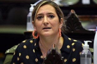 Lehmann: "Anunciar un plan ganadero con exportaciones cerradas, es tomar a los productores de estpidos" 