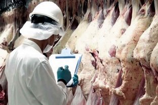 Expectativas por que se flexibilice el cepo a las exportaciones de carne 