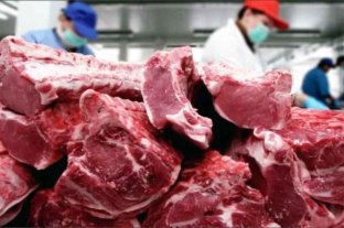 Advierten sobre el impacto negativo que tendrá la continuidad del cepo a exportación de carnes