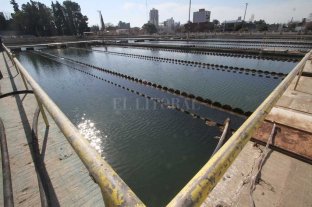 En la ciudad de Santa Fe Detectan mayor presencia de un químico en la red de agua en casas de Candioti Sur - Detectan mayor presencia de un químico en la red de agua en casas de Candioti Sur -