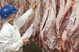 Nuevo acuerdo de carne: cinco cortes parrilleros a precios inferiores al mercado para Navidad y Año Nuevo