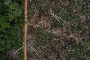 La Amazonía esta generando más dióxido de carbono del que absorbe