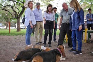 Candidatos al Concejo de Juntos por el Cambio promueven crear más espacios para mascotas en plazas y paseos