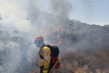 Se registran incendios forestales en cinco provincias