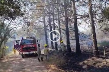 Arroyo Leyes: fuego y humo en la Quinta de Don Gato