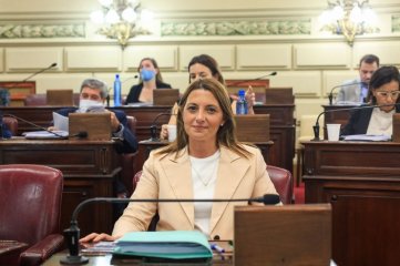 "La mirada y la presencia de la mujer está ausente en el Senado provincial"